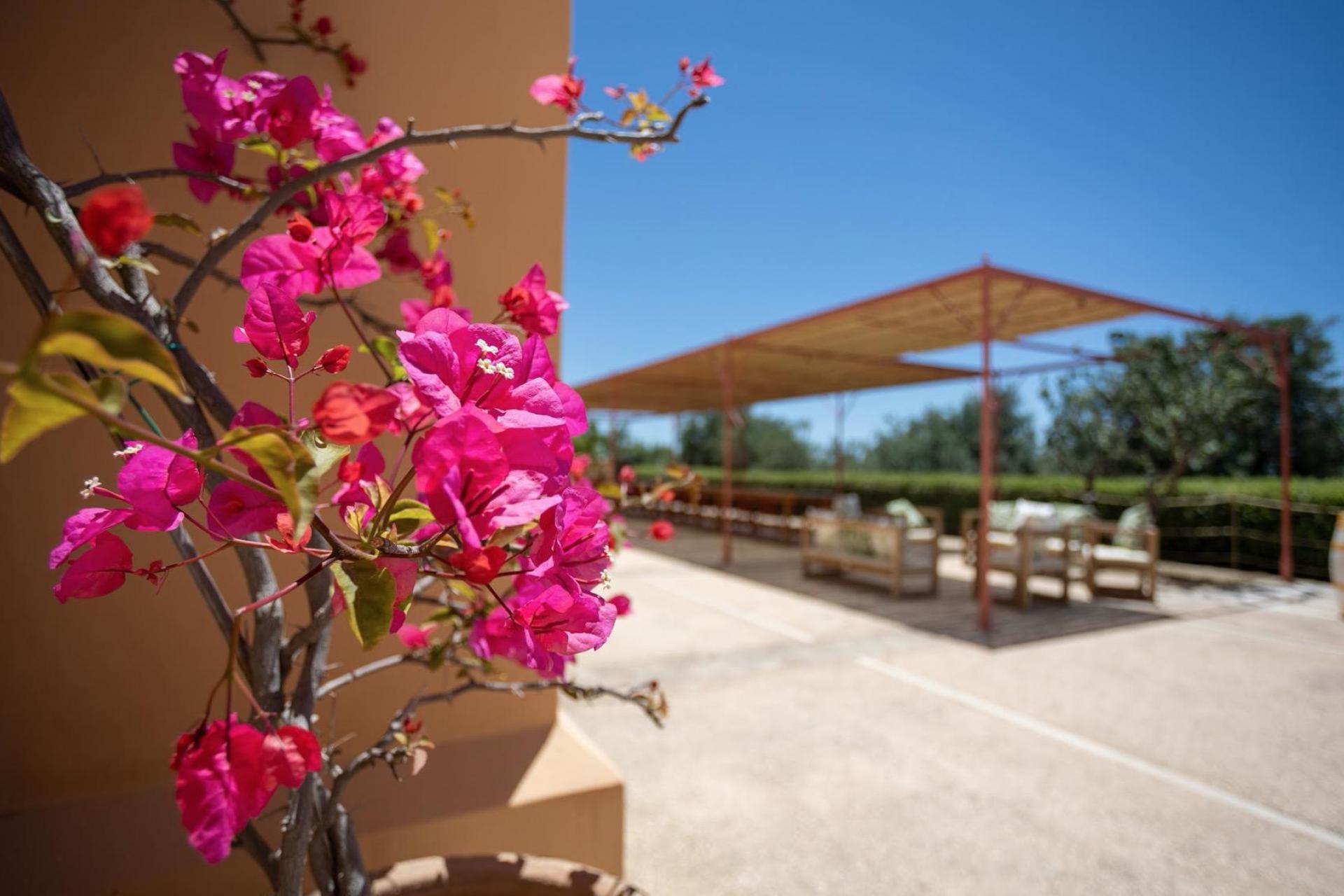 Cozy agriturismo with restaurant in Sicily, close to the sea