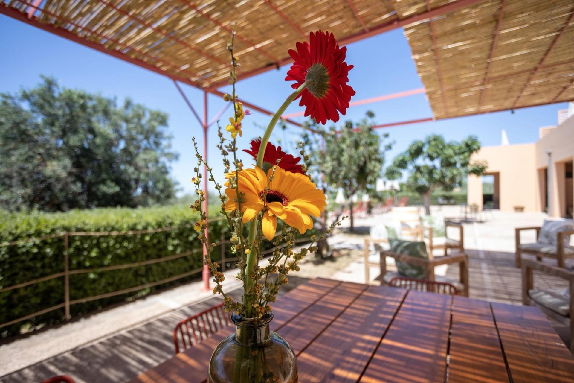 Agriturismo with organic restaurant