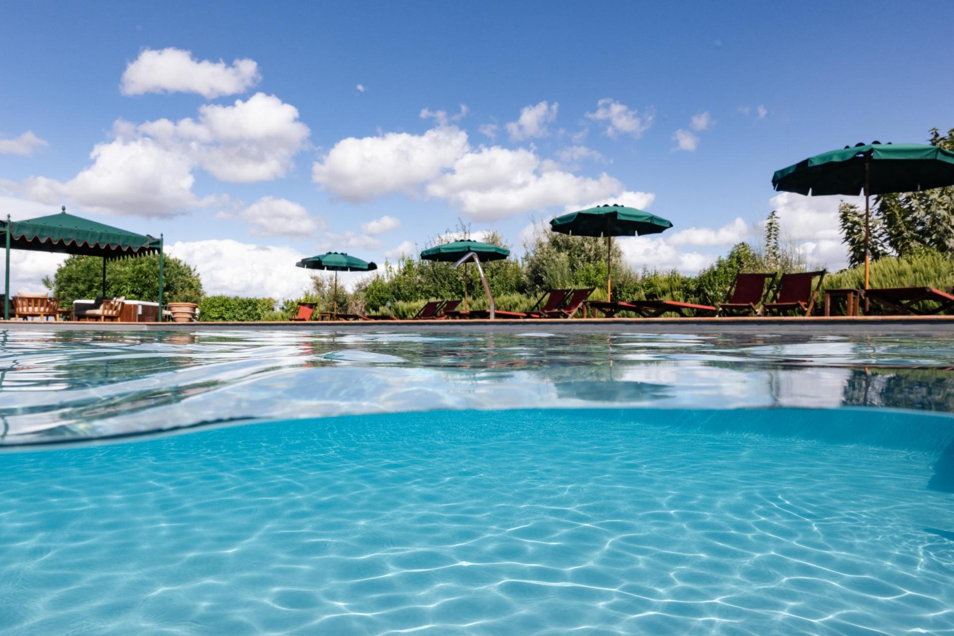 Winery and luxury agriturismo near Pisa